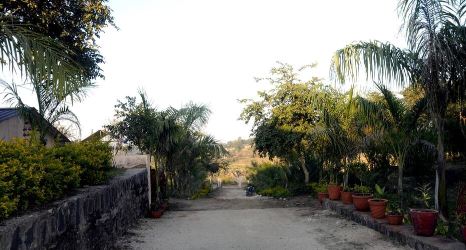 Palm Pair Resort, Jabalpur 4